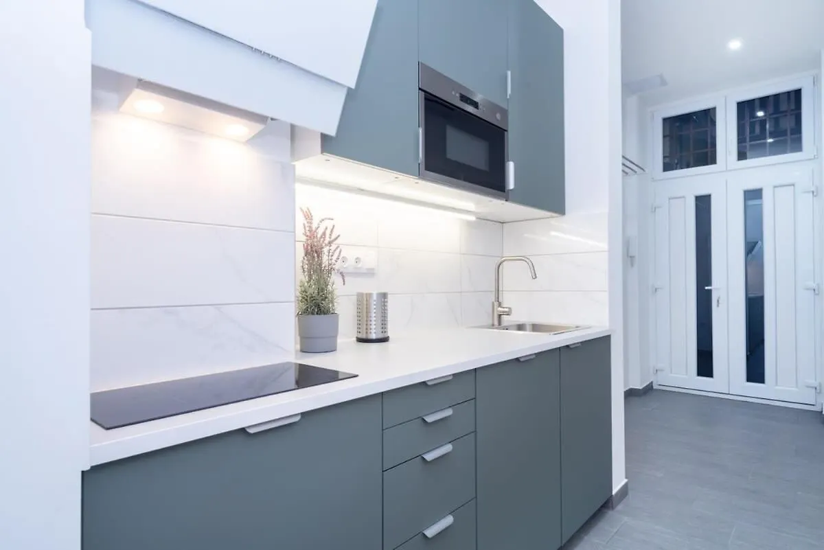Huge Aparment In The City Center With Air Conditioning Budapest